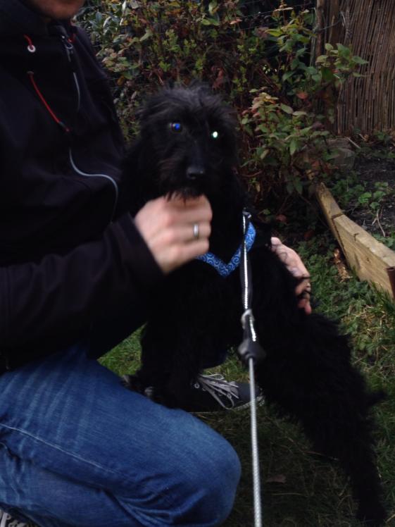 Bild 2014-03-08 3.jpeg