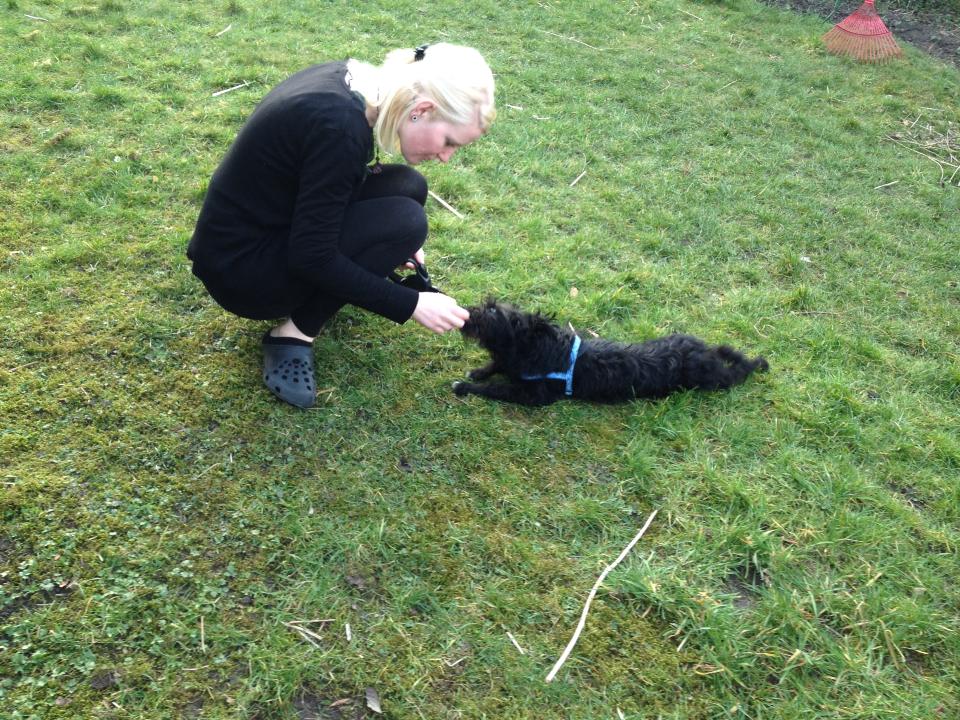 Bild 2014-03-08 4.jpeg