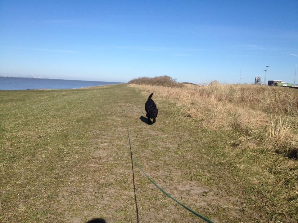 Bild 2014-03-11-2.jpeg