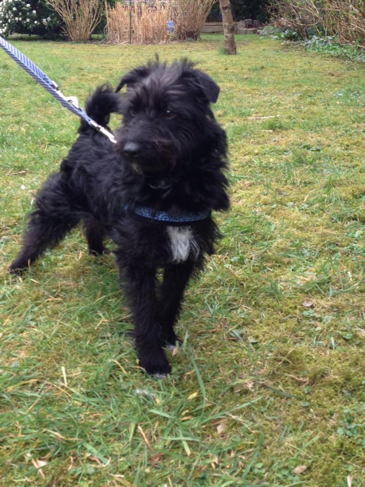 Bild 2014-03-18 4-2.jpeg