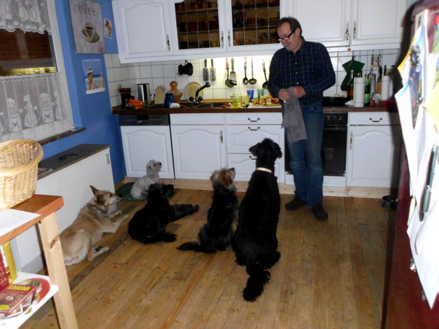 Tori, Menta ist zu Besuch, Anni krank 059.JPG