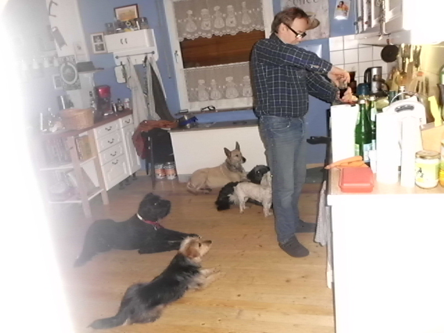 Tori, Menta ist zu Besuch, Anni krank 054.JPG