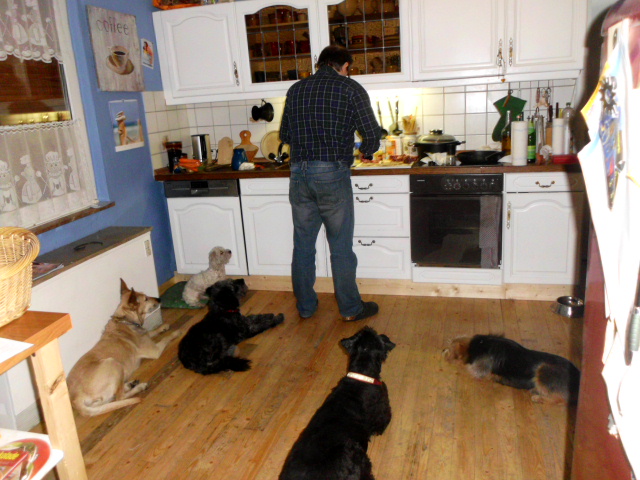 Tori, Menta ist zu Besuch, Anni krank 057.JPG