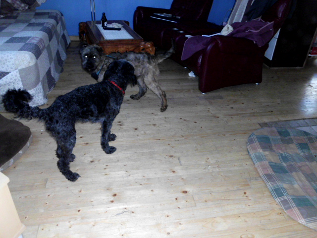 Perro, Spaziergang mit den Kindern 029.JPG