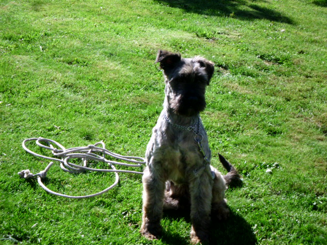 Perro, Spaziergang mit den Kindern 047.JPG