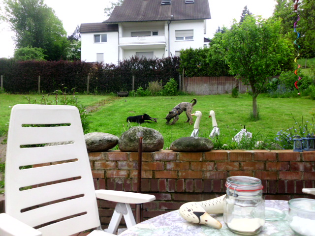 Coco und Pero 048.JPG