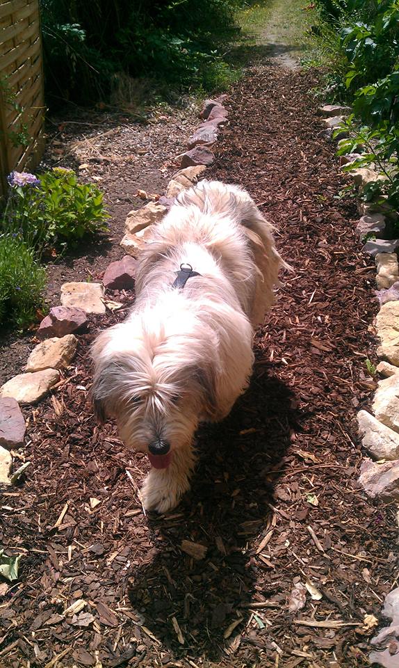 Buffy jetzt Emma.jpg