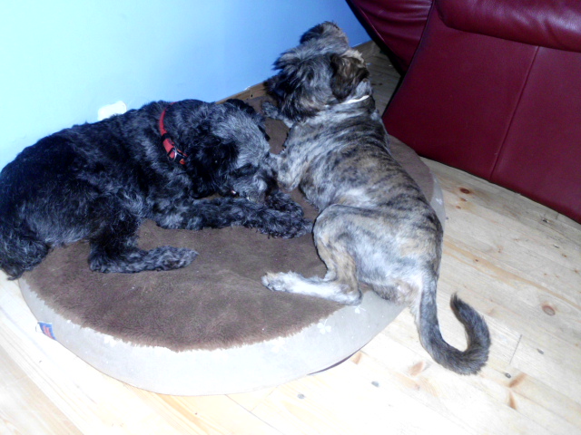 Pero und Olga 008.JPG