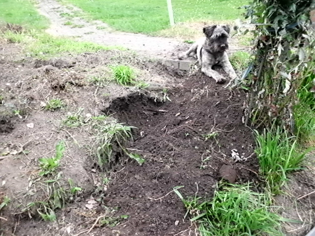 Pero und Olga 024.JPG