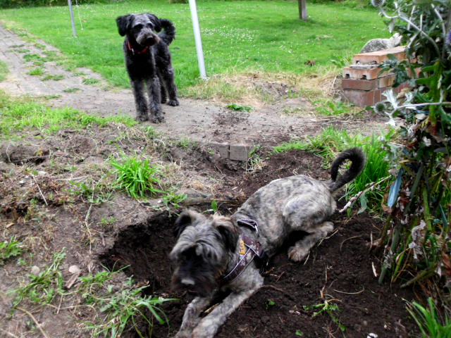 Pero und Olga 025.JPG