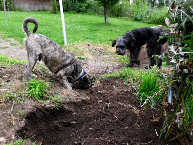 Pero und Olga 028.JPG