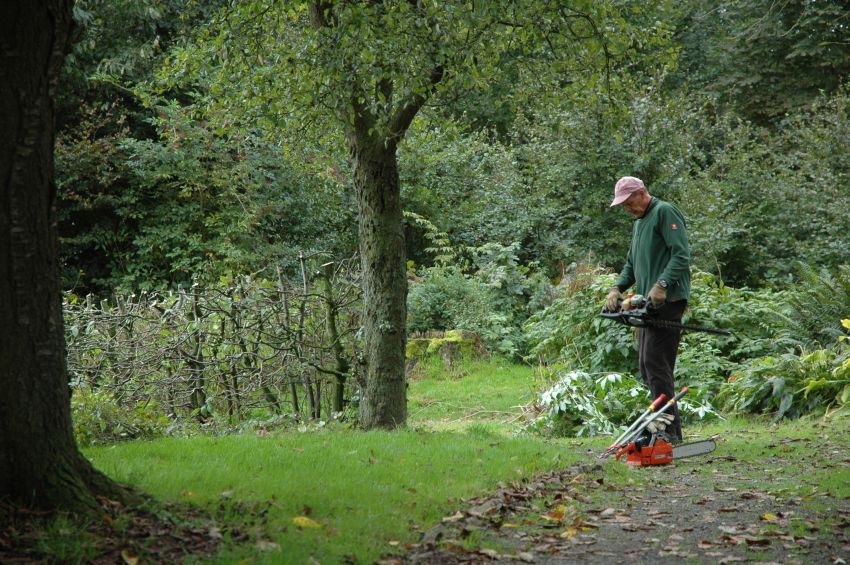 Michel und sein Werkzeug.jpg