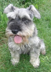 Boris bei Anke 180.jpg