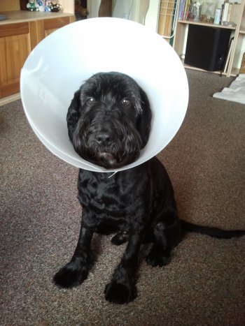 Tobi mit Tüte klein.jpg