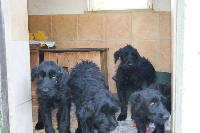 Spring, Summer, Autun und Winter.jpg