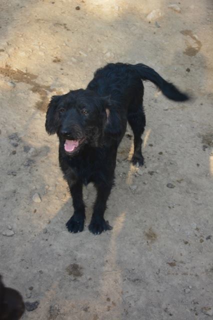 Thelma und Luise1.jpg