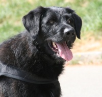 Sam Heilbronn 200.jpg