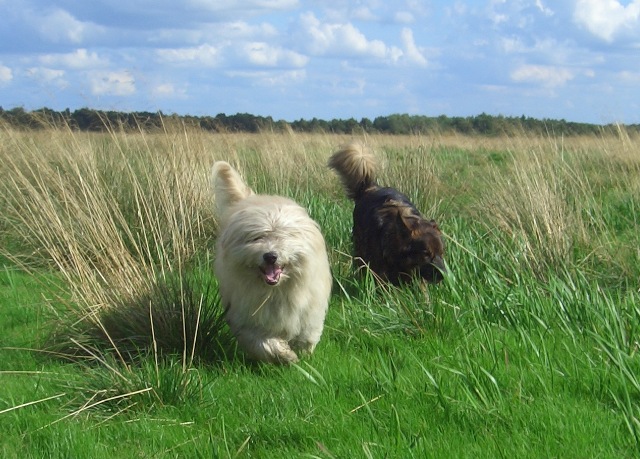 030807 (4) - Kopie.JPG