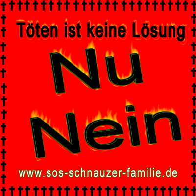 Hilfe für Rumänien 4.jpg