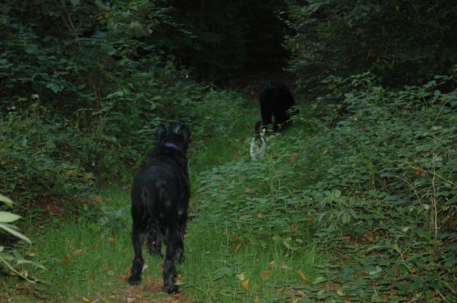 endlich wieder nach Hause........JPG