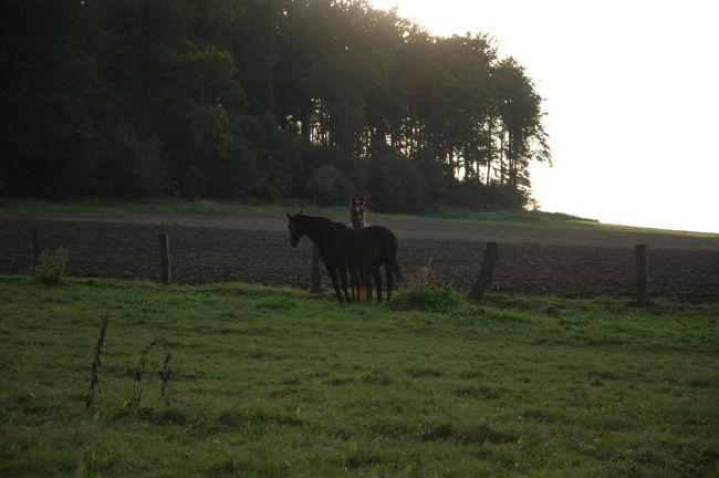 wo gehen die denn alle hin.JPG