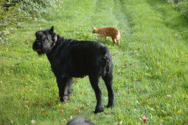 wo bleibt ihr denn.JPG