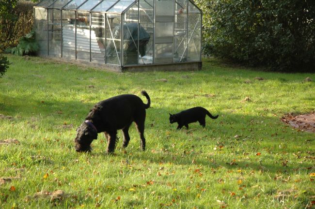 was riecht die denn das so.....JPG