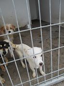 Mädchen_5 Monate_P.jpg