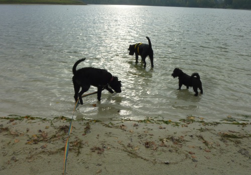 Tofi Badestrand 1.jpg