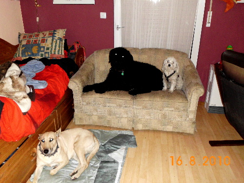 Fotos von Reiners PC 215.JPG