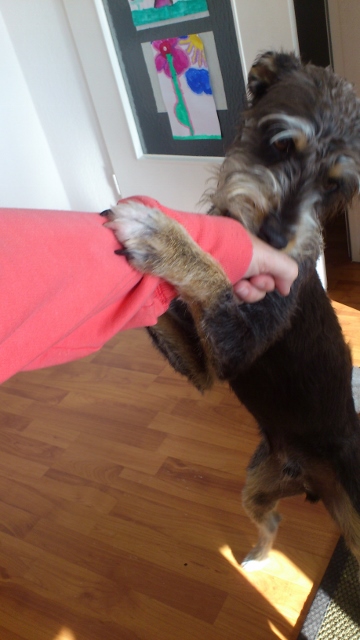 Ronny 3619 (360x640).jpg