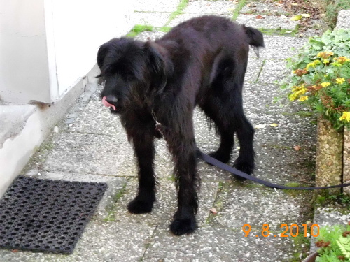 Fotos von Reiners PC 194.JPG