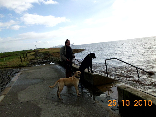 Fotos von Reiners PC 060.JPG