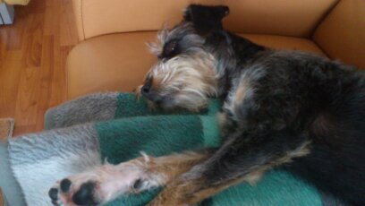 gesammelte Werke 057.jpg