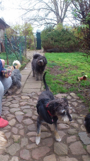 pico 059 (360x640).jpg