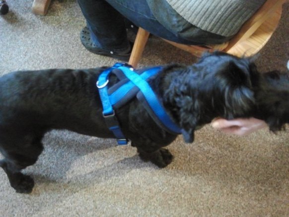 Mein String-Tanker.jpg