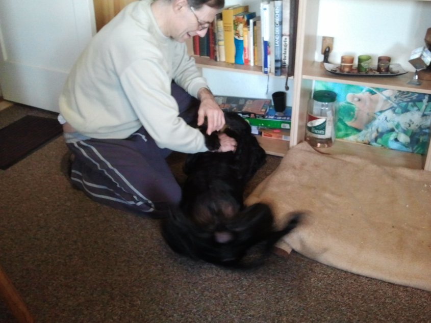 2013-12-29 12.44.03.jpg