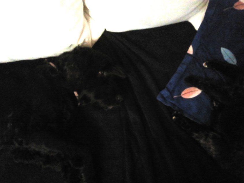 2014-01-02 16.16.57.jpg