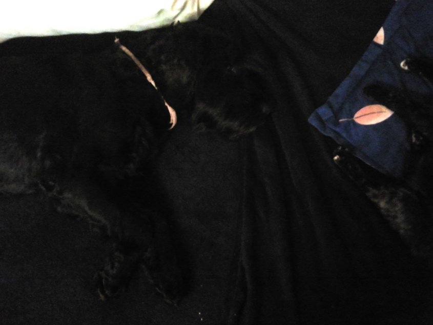 2014-01-02 16.17.18.jpg