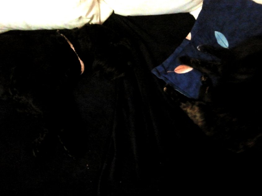 2014-01-02 16.17.43.jpg