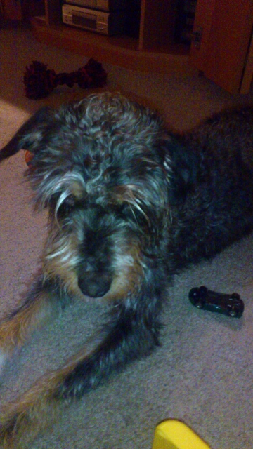 Winter 2013_2014 330 (360x640).jpg