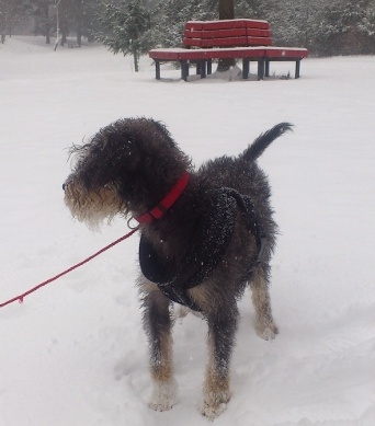 jan_2014 936 (360x640).jpg