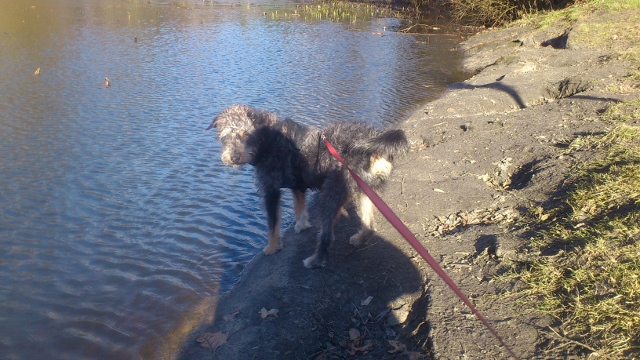 Feb_2014 076 (640x360).jpg