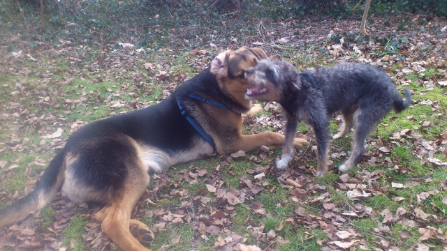 Feb_2014 075 (640x360).jpg