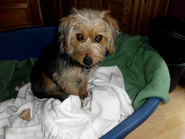 Raja, Toti, Justus u. Konstantin 118.JPG