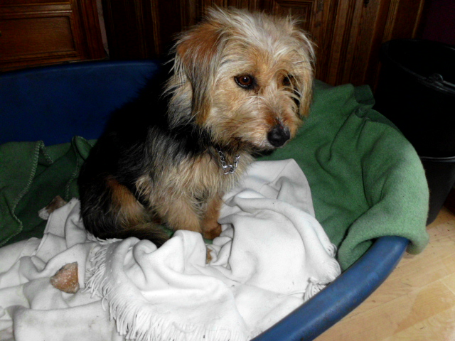 Raja, Toti, Justus u. Konstantin 117.JPG