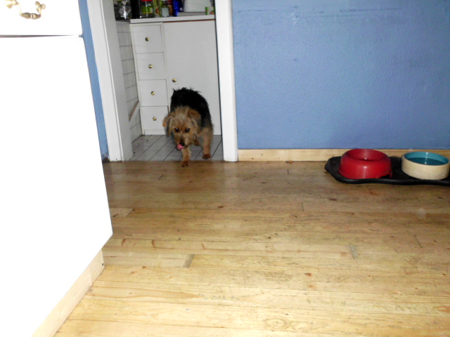 Raja, Toti, Justus u. Konstantin 114.JPG