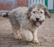 König Artus 180.jpg